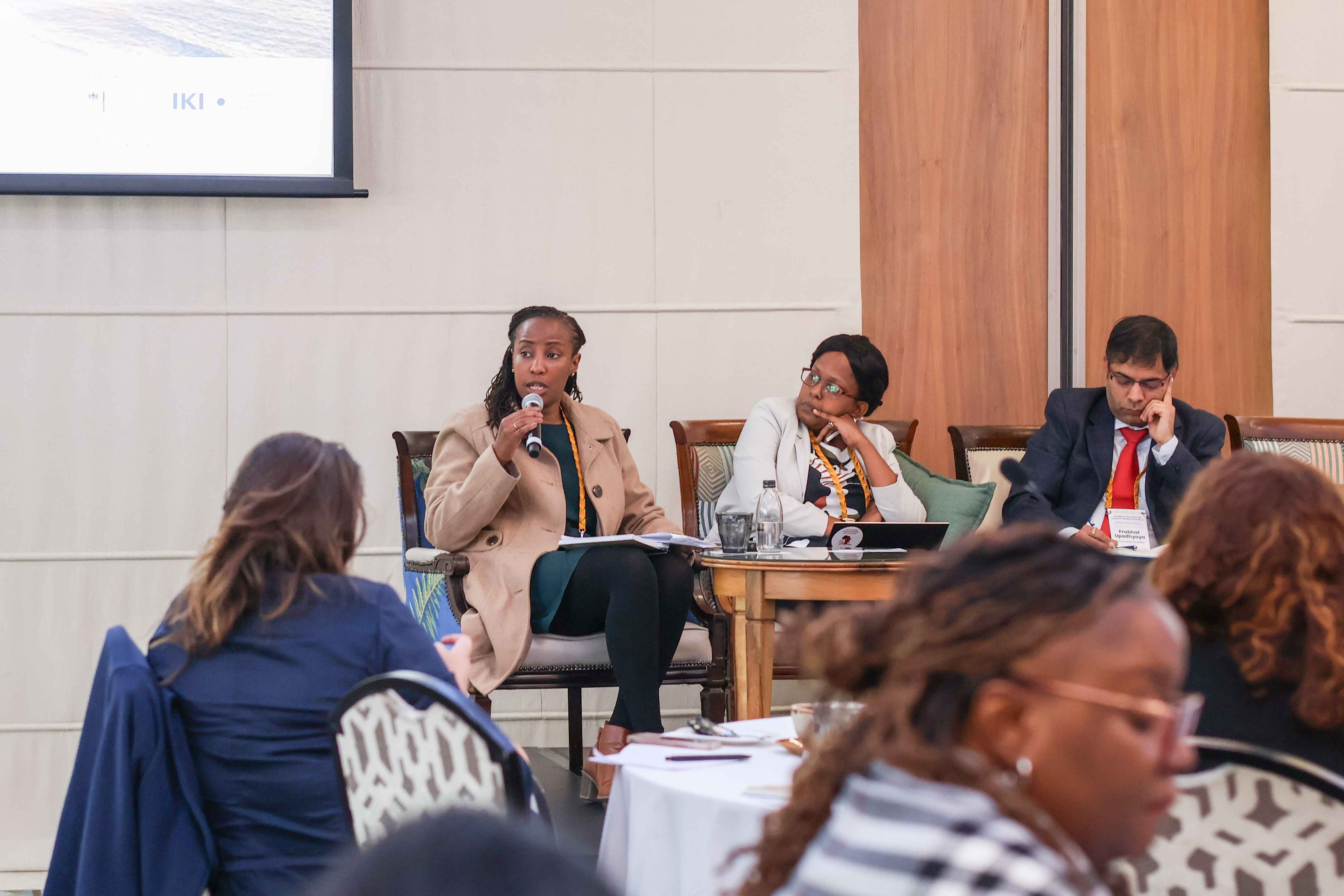 High-Level Technical Dialogue on Climate Finance in Africa