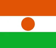 Niger Flag