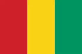 Guinea Flag
